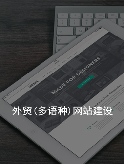 外贸(多语种)网站建设